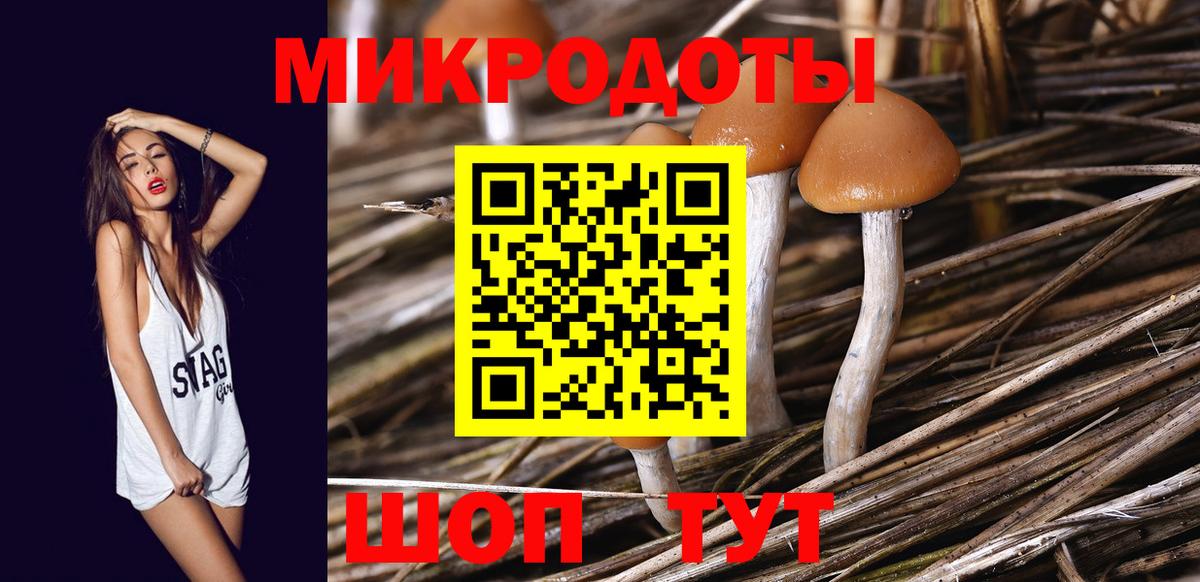 Барабинск  Псилоцибиновые грибы Psilocybine cubensis  Вход с VPN 